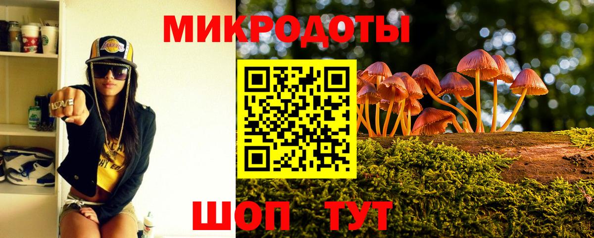 Псилоцибиновые грибы мицелий Калуга